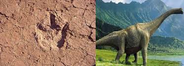 traces de dinosaures imi nifri iwaridan